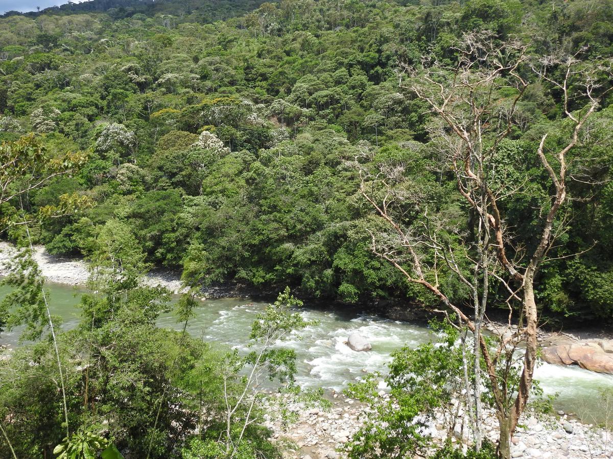 Posada Turistica Dantayaco Mocoa Екстериор снимка